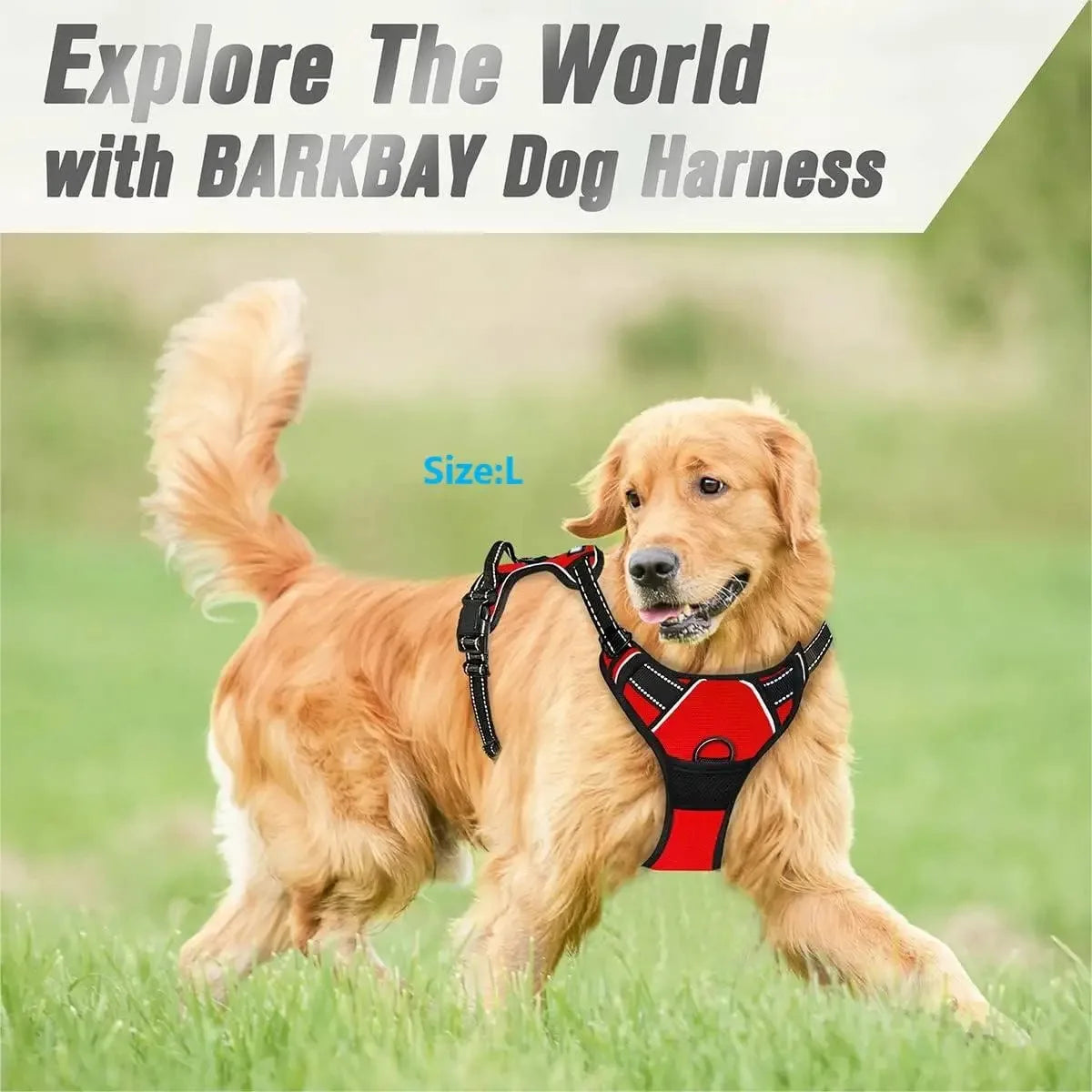 Collares para perros, arnés, chalecos grandes, correa, tienda de mascotas, todo para perros, accesorios de cuero para cachorros, juego mediano y pequeño