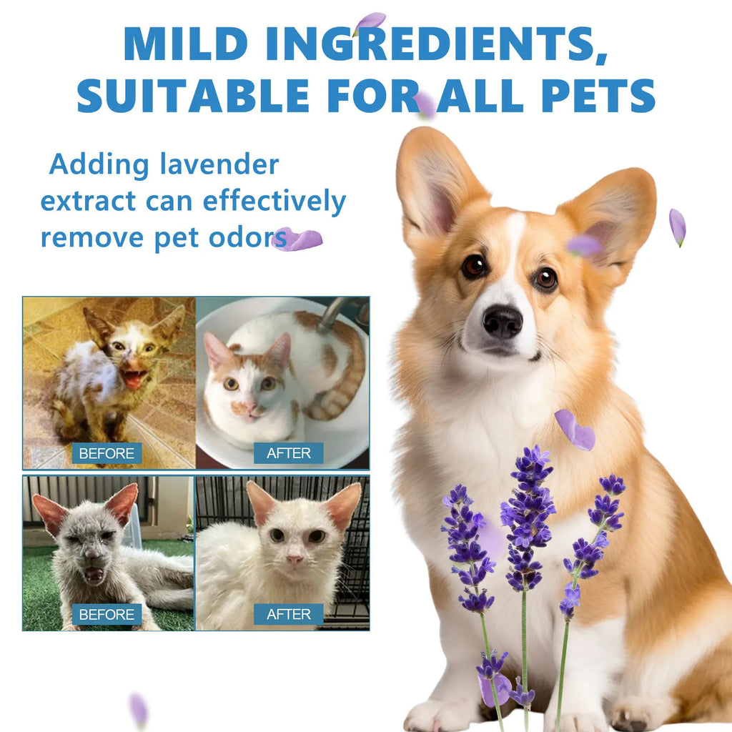 Esencia de lavado para mascotas, lavado corporal para perros, suavizante del cabello, eliminación de suciedad, ácaros, desodorizante, reducción de la picazón, champú hidratante para cachorros