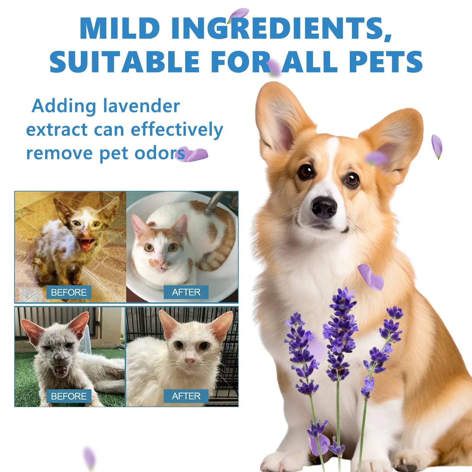 Esencia de lavado para mascotas, lavado corporal para perros, suavizante del cabello, eliminación de suciedad, ácaros, desodorizante, reducción de la picazón, champú hidratante para cachorros
