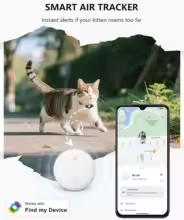 GPS Localizador para Mascotas - Rastrea a tu Perro en Tiempo Real